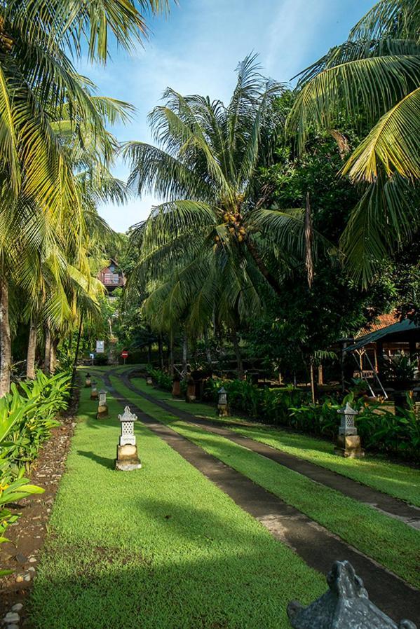 Bella Vista Premium Homestay 外南梦 外观 照片